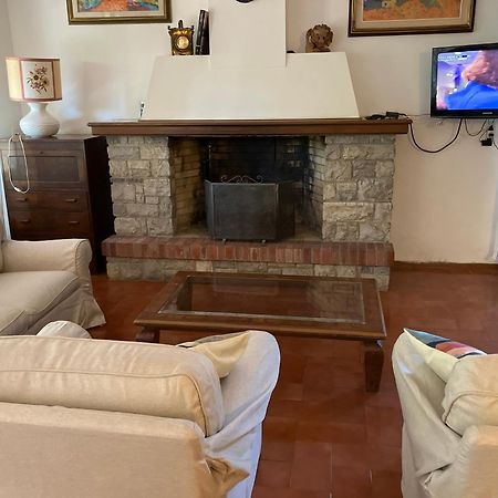 Villa Feltran Forte dei Marmi Ngoại thất bức ảnh