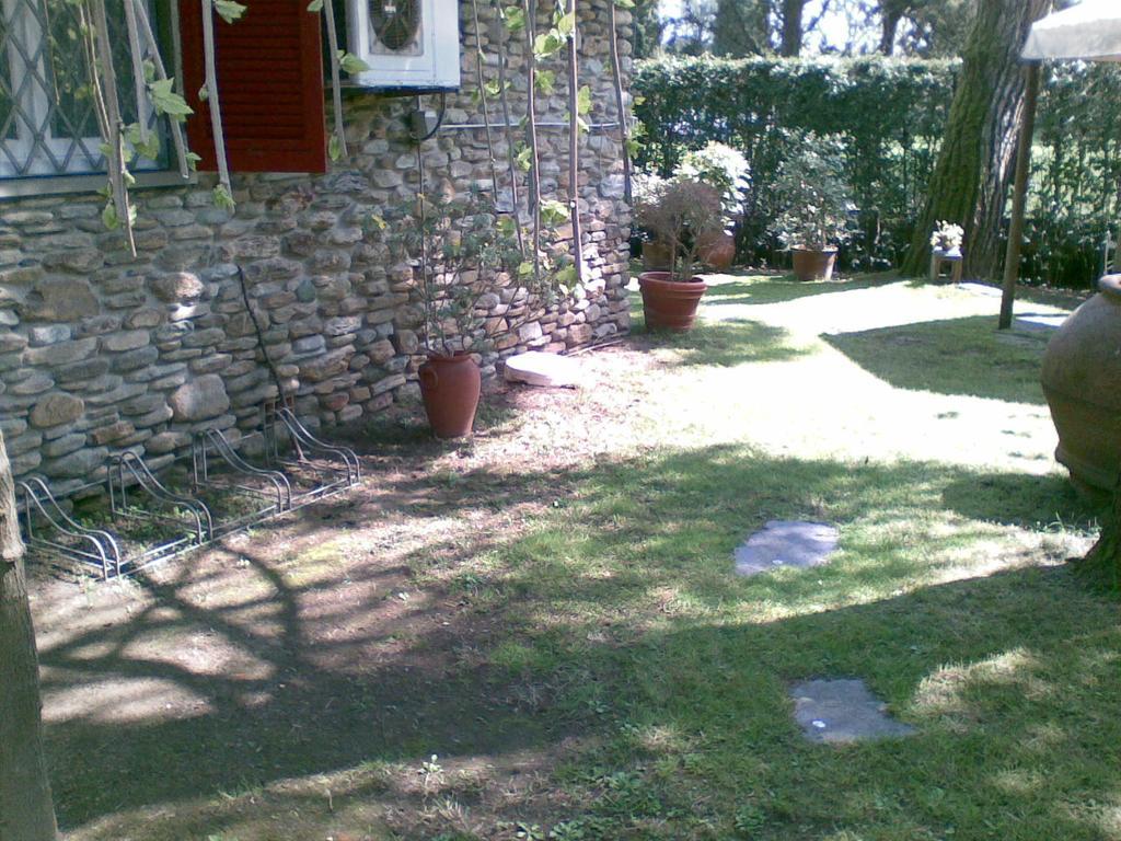 Villa Feltran Forte dei Marmi Phòng bức ảnh