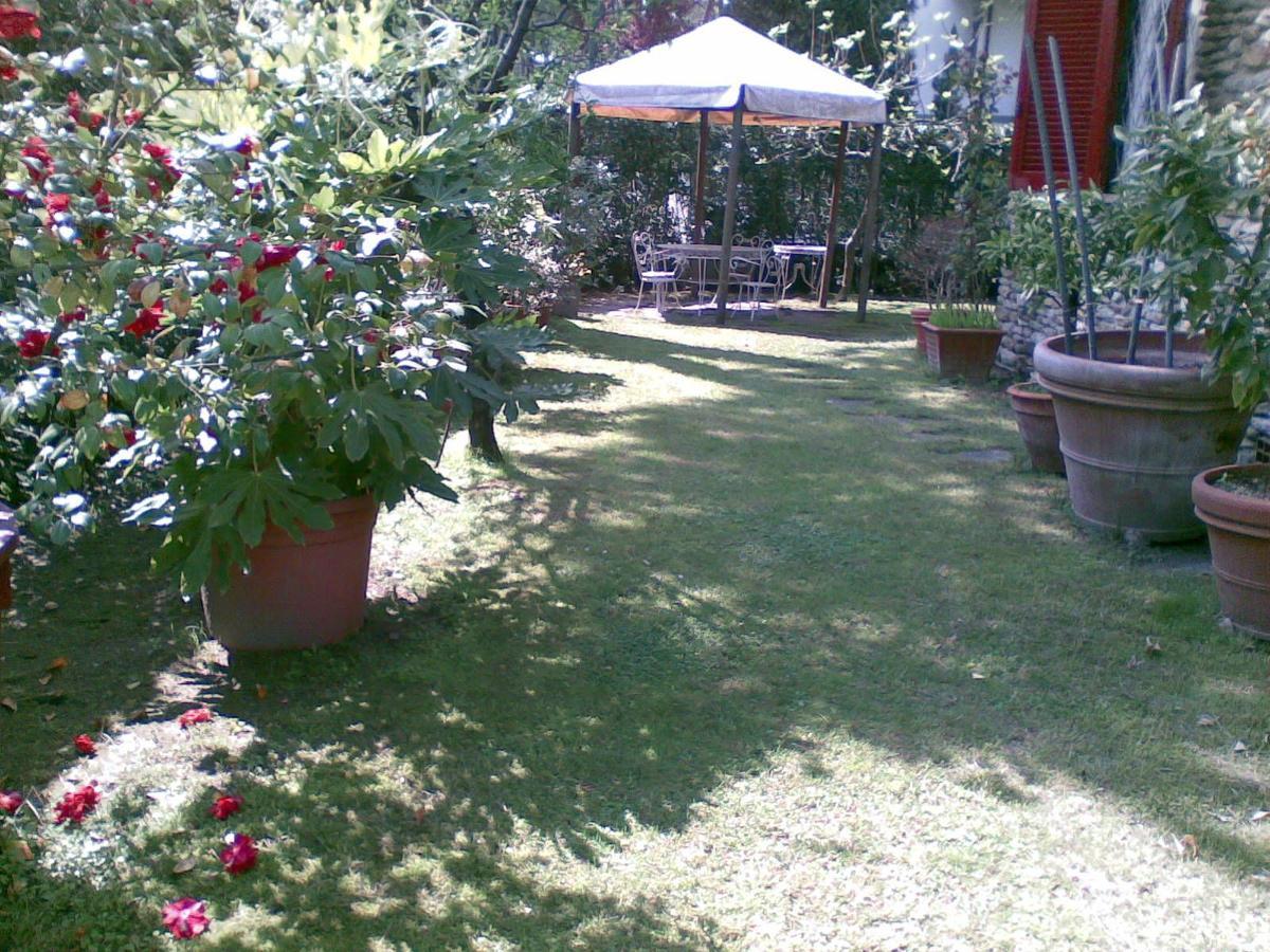Villa Feltran Forte dei Marmi Ngoại thất bức ảnh